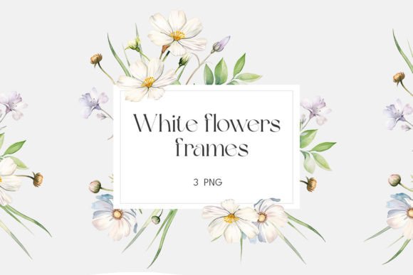 Download Watercolor White Wildflowers Frame - Flower Collection