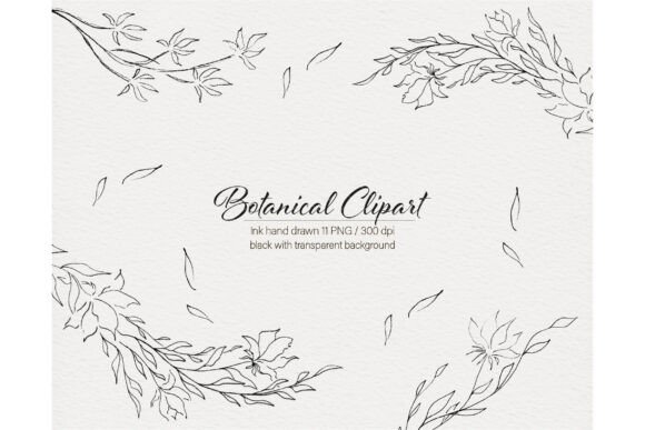 Download Modern Flowers Botanical Hand Drawn - Flower Collection