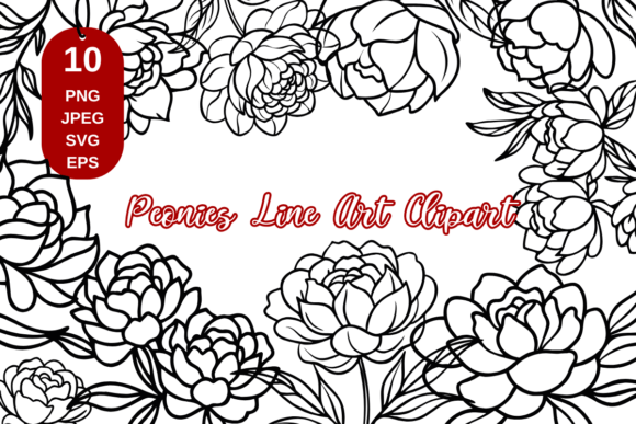 Download Peony Line Art, Flower Line Art Clipart - Flower Collection