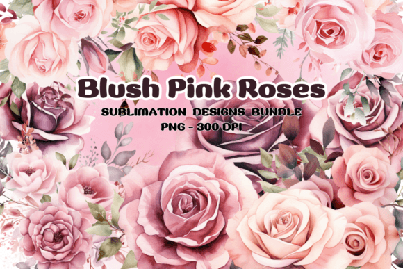 Download Blush Pink Roses Flowers Watercolor PNG - Flower Collection