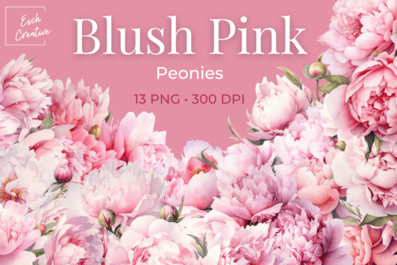 Download Blush Pink Peonies Watercolor Flowers - Flower Collection