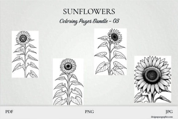 Download Sunflower Coloring Pages Pack Bundle 3 - Flower Collection