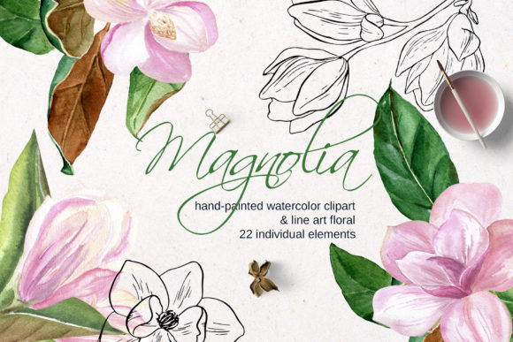 Download Pink Magnolia Watercolor, Lineart Flower - Flower Collection