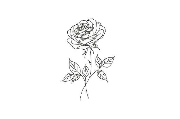 Download Minimal Rose Flower Botanical - Flower Collection